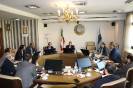 نخستی سانان_14